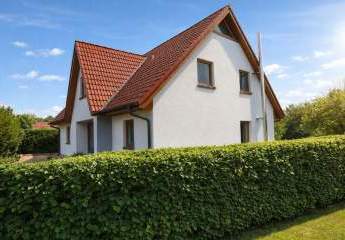 482717-Vorschaubild2