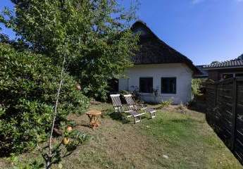 483169-Vorschaubild2