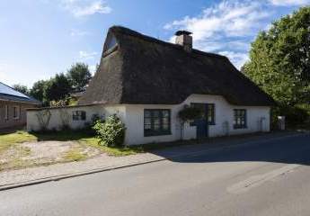 483169-Vorschaubild3