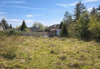 483368-Vorschaubild2