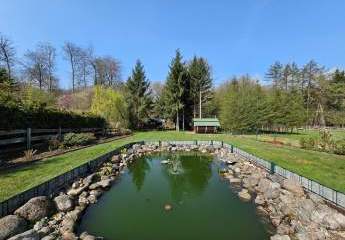 484585-Vorschaubild3