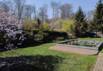 484585-Vorschaubild4