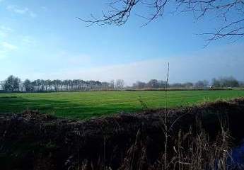 472288-Vorschaubild4