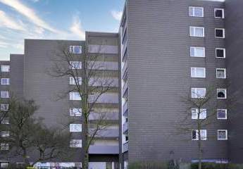 481706-Vorschaubild3