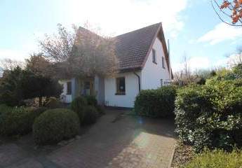 482717-Vorschaubild4