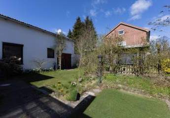 486403-Vorschaubild3