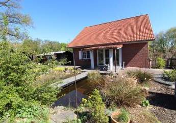 486484-Vorschaubild4