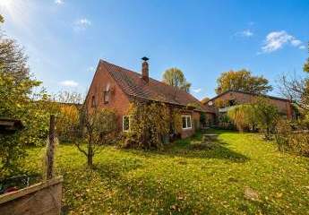 487667-Vorschaubild2