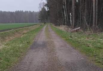 489599-Vorschaubild2