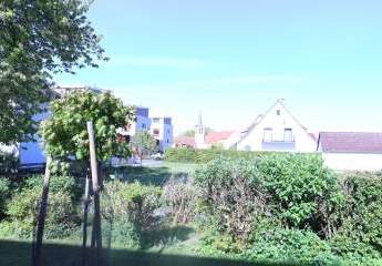 491129-Vorschaubild2