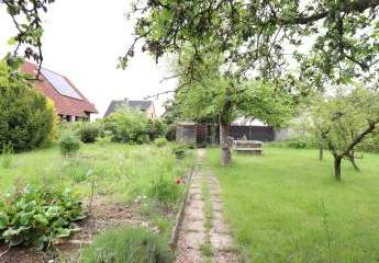 495448-Vorschaubild4