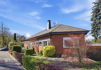 484028-Vorschaubild2