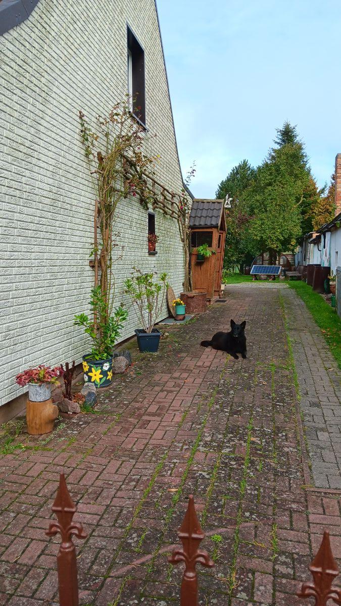 Immobilie in Bugewitz - Privat zu verkaufen - Bild 3