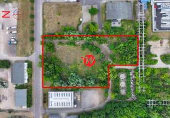 453597-Vorschaubild2