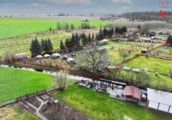 460210-Vorschaubild3