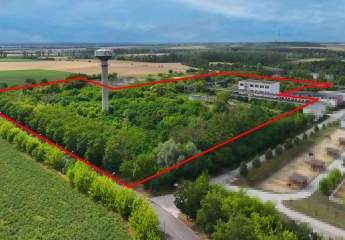 453617-Vorschaubild3