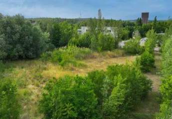 465219-Vorschaubild4