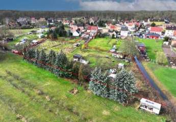 466235-Vorschaubild4