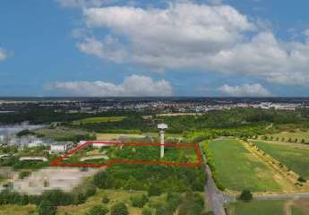 466710-Vorschaubild3