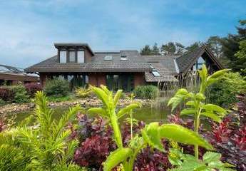 Einzigartige Architektenvilla am Waldrand bei Zerbst – ein Ort, wo Raum, Licht & Natur verschmelzen