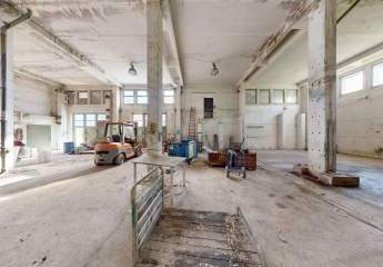 484877-Vorschaubild4