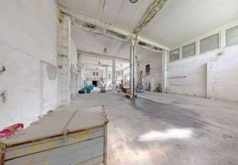 484882-Vorschaubild4