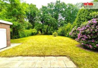 456642-Vorschaubild4