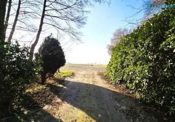 475392-Vorschaubild4