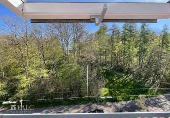 484331-Vorschaubild4