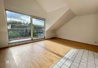 484331-Vorschaubild3