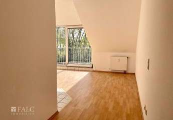 484331-Vorschaubild4