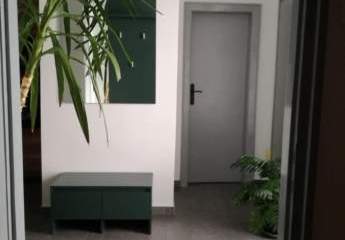 450219-Vorschaubild2