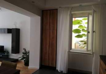 450219-Vorschaubild4