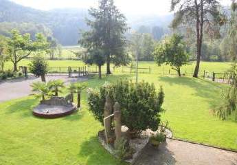 450607-Vorschaubild3