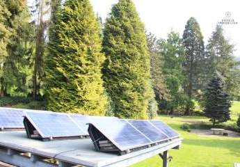 450607-Vorschaubild4