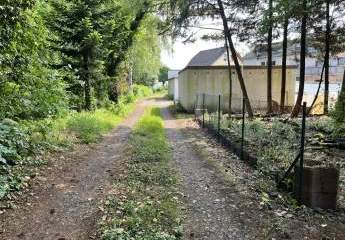 450608-Vorschaubild3