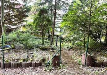 450608-Vorschaubild4