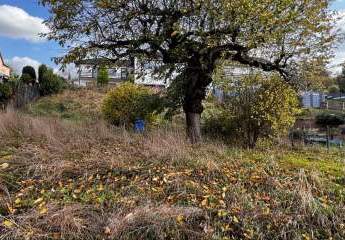 452973-Vorschaubild2