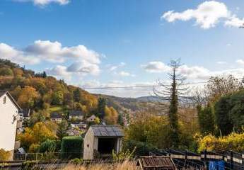 452973-Vorschaubild4