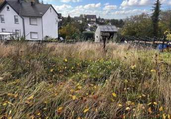 452973-Vorschaubild3