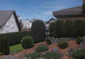 471303-Vorschaubild4