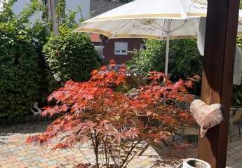 476999-Vorschaubild3