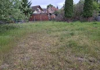 450632-Vorschaubild3