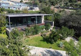 456765-Vorschaubild2