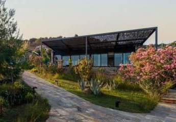 456765-Vorschaubild3