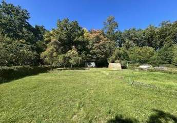 451118-Vorschaubild3