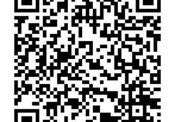 454189-Vorschaubild2