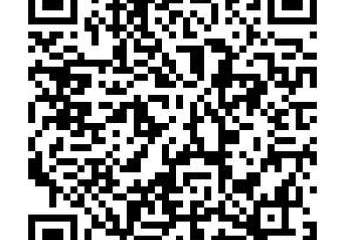 453557-Vorschaubild3