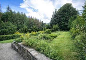 477858-Vorschaubild4