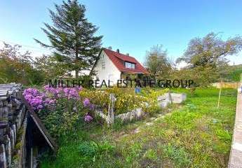 478513-Vorschaubild3